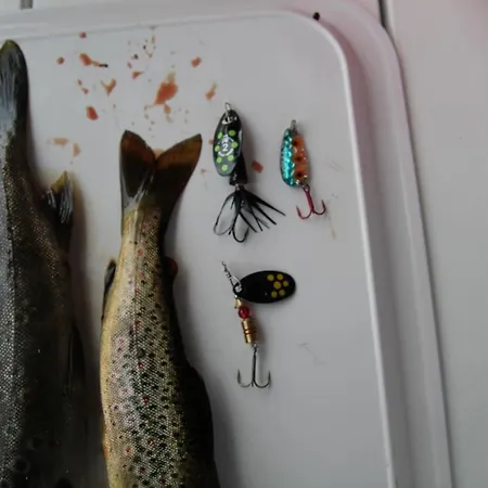 Lakeside Haven * Vradal